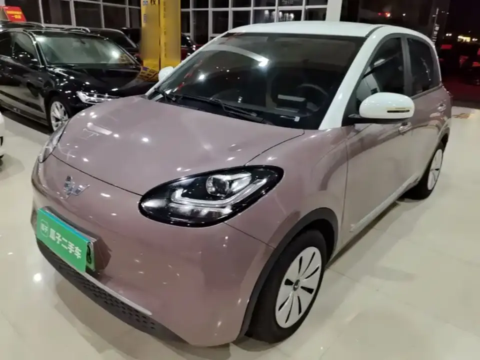 Wuling Motors Wuling Bingo Model 203km Lite Enjoyment Edition 2023