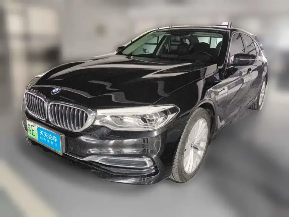 BMW 5 Series New Energy 530Le Luxury Package 2019