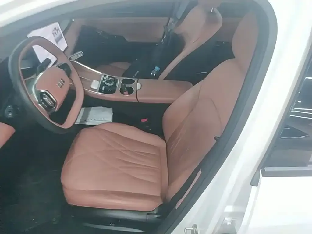 Geely Galaxy Galaxy L6 EM-i 60km Explorer Edition 2025 — фото 15