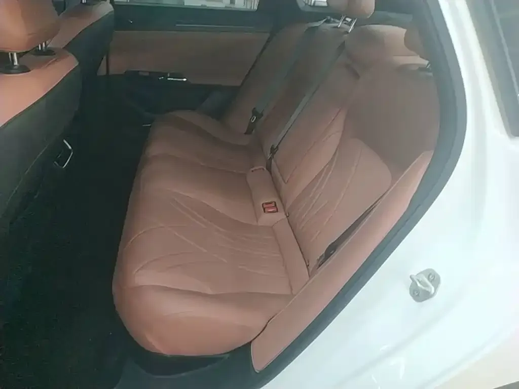 Geely Galaxy Galaxy L6 EM-i 60km Explorer Edition 2025 — фото 17