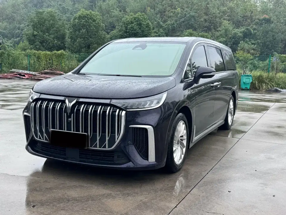 Voyah Auto Voyah Dreamer PHEV Extended Range Premium Edition 2024