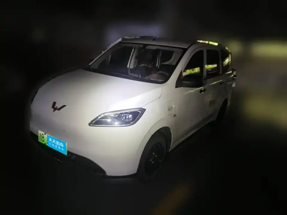 Wuling Motors Wuling Hongguang New Energy Pure Electric 300KM Standard 2025
