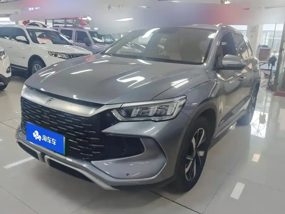 BYD Song Pro New Energy Glory Edition DM-i 71KM Pilot 2024