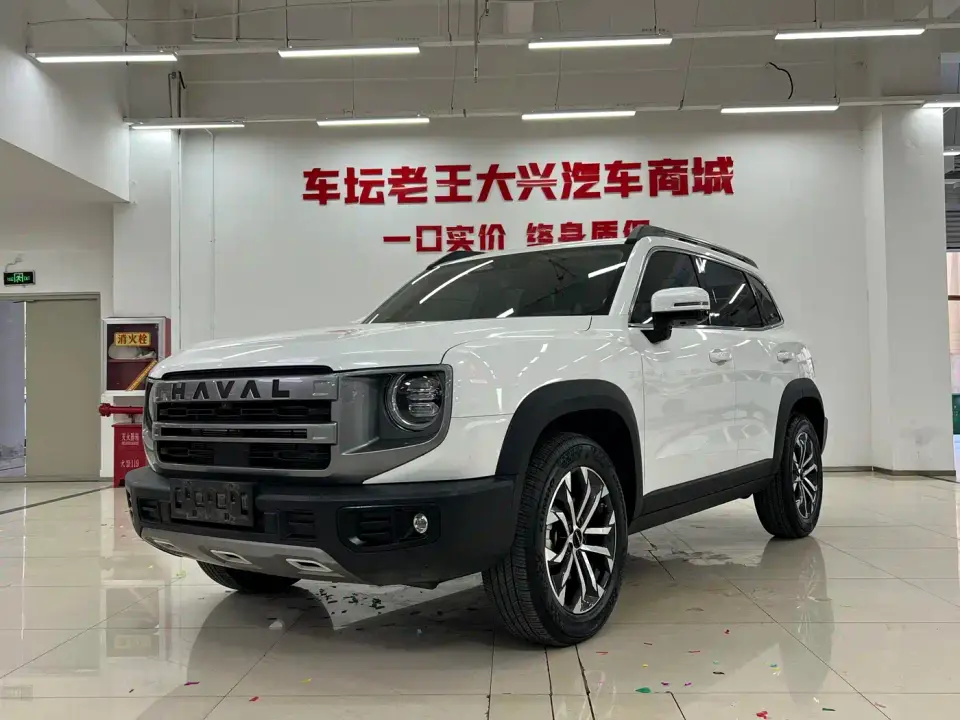Haval Big Dog 1.5T DCT Border Collie Edition 2023