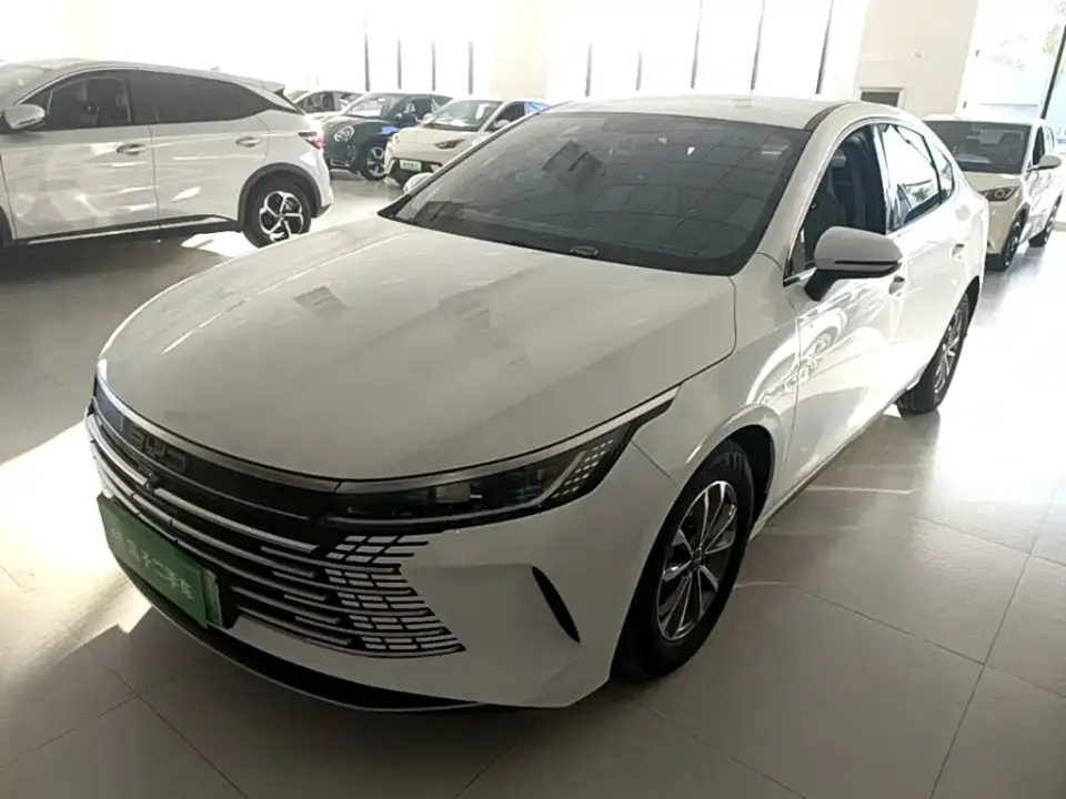 BYD Destroyer 05 Glory Edition DM-i 55KM Luxury 2024