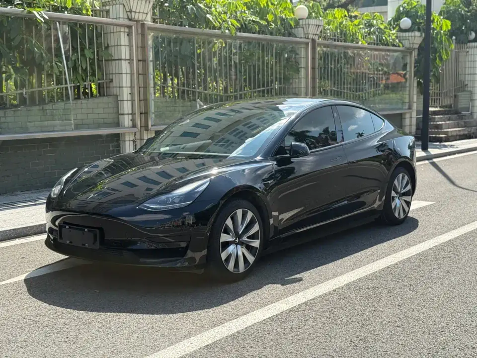 Tesla Model 3 Standard Range Rear-Wheel Drive Upgrade 3D6 2021