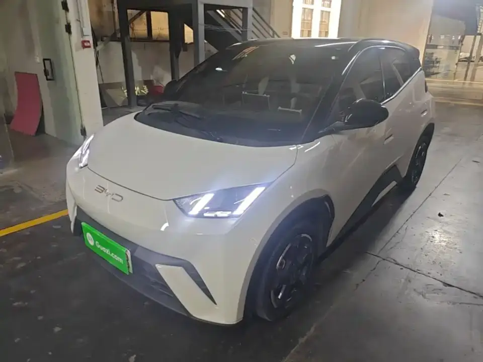 BYD Seagull Glory Edition 305km Freedom Edition 2024