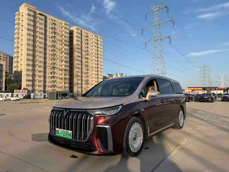 Voyah Auto Voyah Dreamer Low-carbon Edition Think+Smart Driving Package 2023