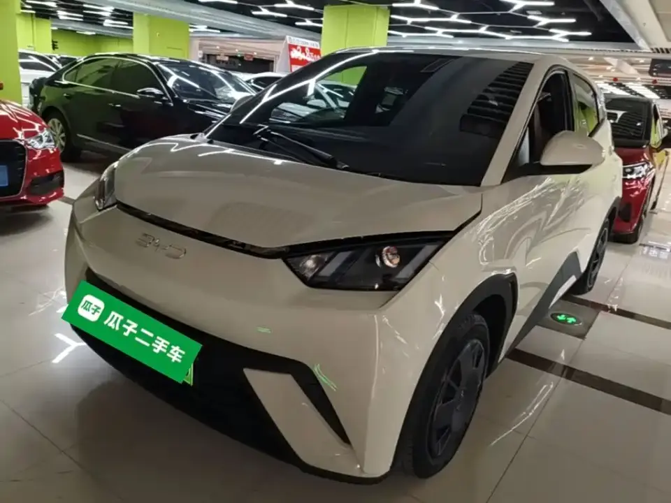 BYD Seagull 305km Vitality 2024