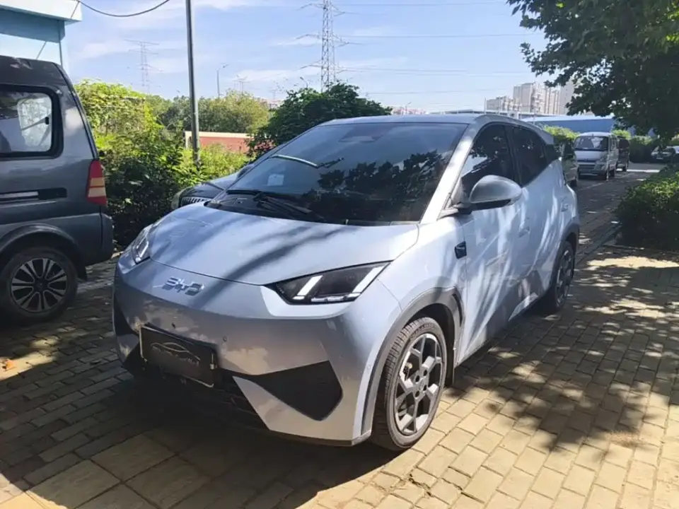 BYD Seagull Smart Drive Edition 305km Freedom Version 2025