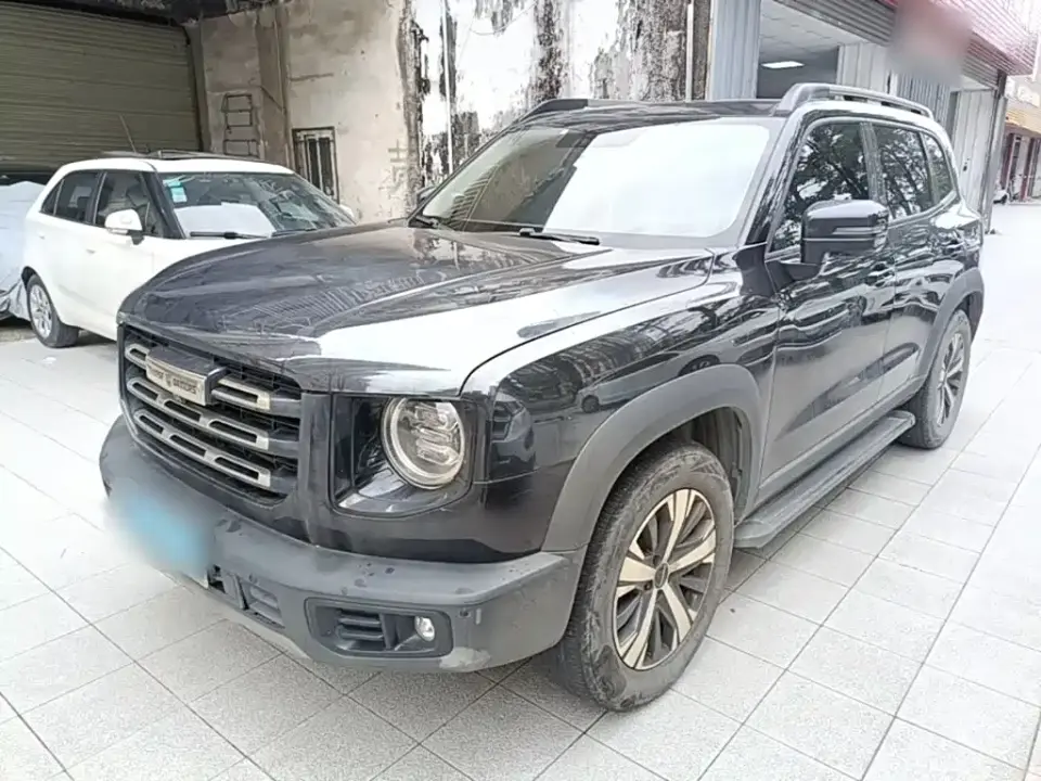 Haval Big Dog 1.5T DCT 2WD Labrador Edition 2021