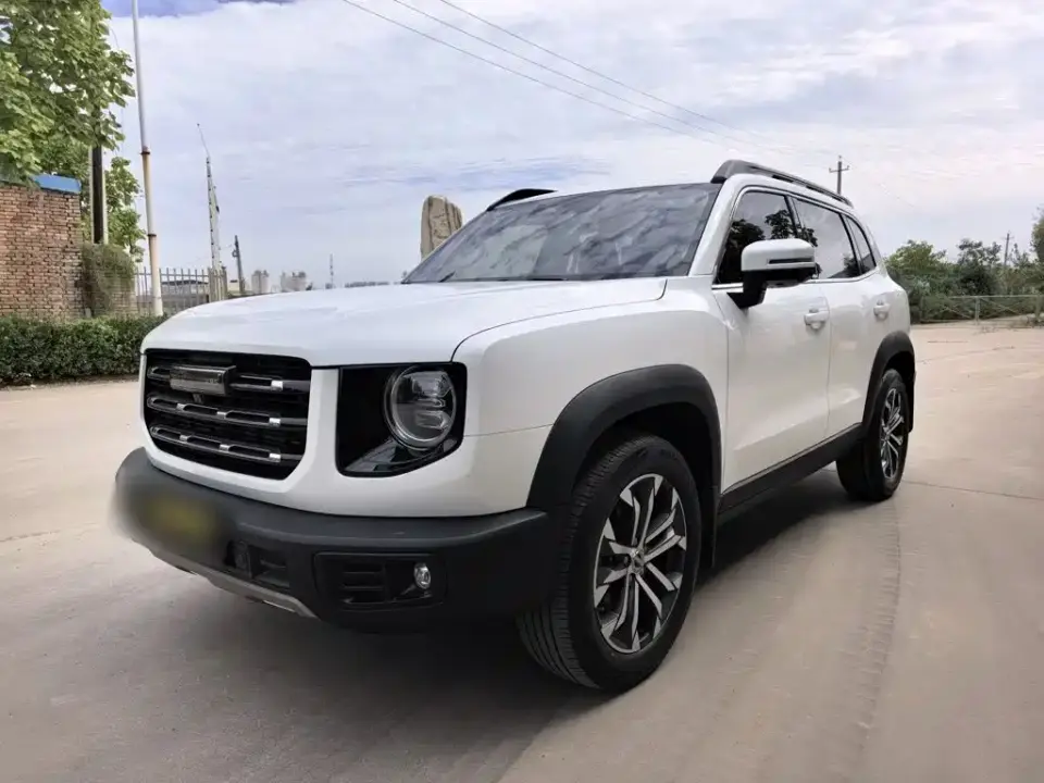 Haval Big Dog 1.5T DCT 2WD Border Collie Edition 2022
