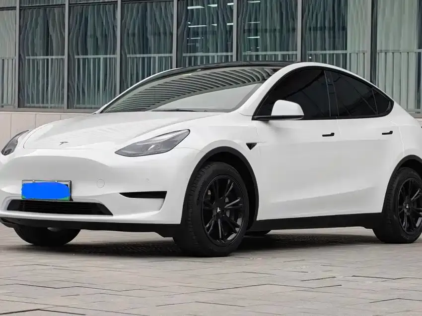 Tesla Model Y Rear-Wheel Drive Version 2022