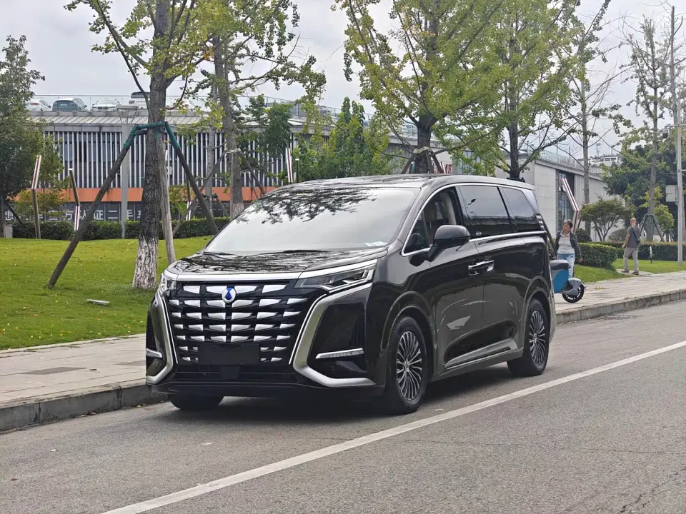 Denza D9 DM-i 980 AWD Flagship 2024