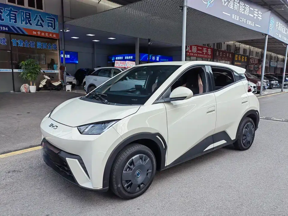 BYD Seagull 305km Vitality 2024