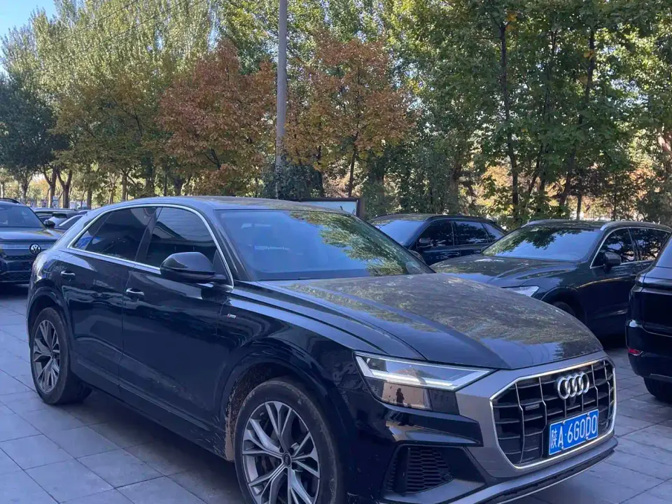 Audi Q8 Model 55 TFSI Luxury Dynamic 2021