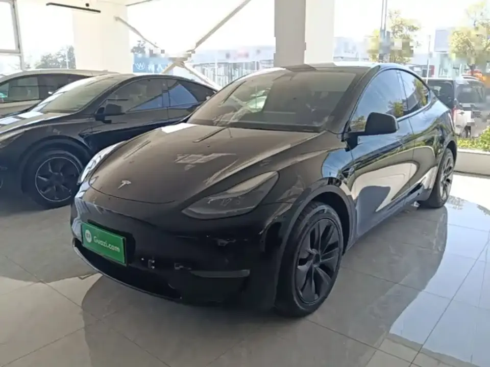 Tesla Model Y Long Range All-Wheel Drive Edition 2024