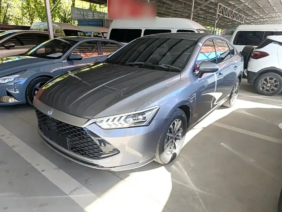 BYD Qin PLUS Glory Edition DM-i 55KM Leading 2024