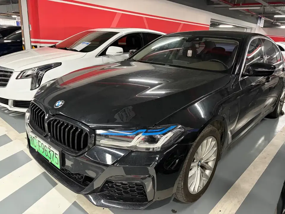BMW 5 Series New Energy 530Le Range Upgrade Luxury Package 2020
