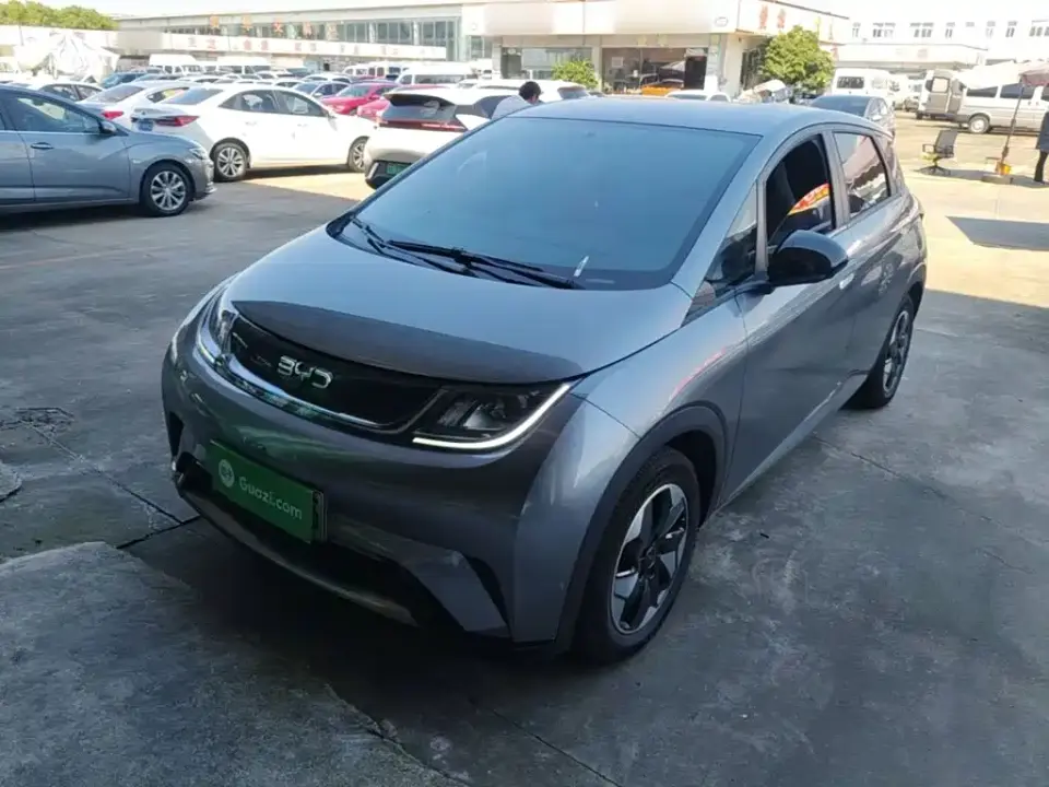 BYD Dolphin Glory Edition 420km Freedom Edition 2024