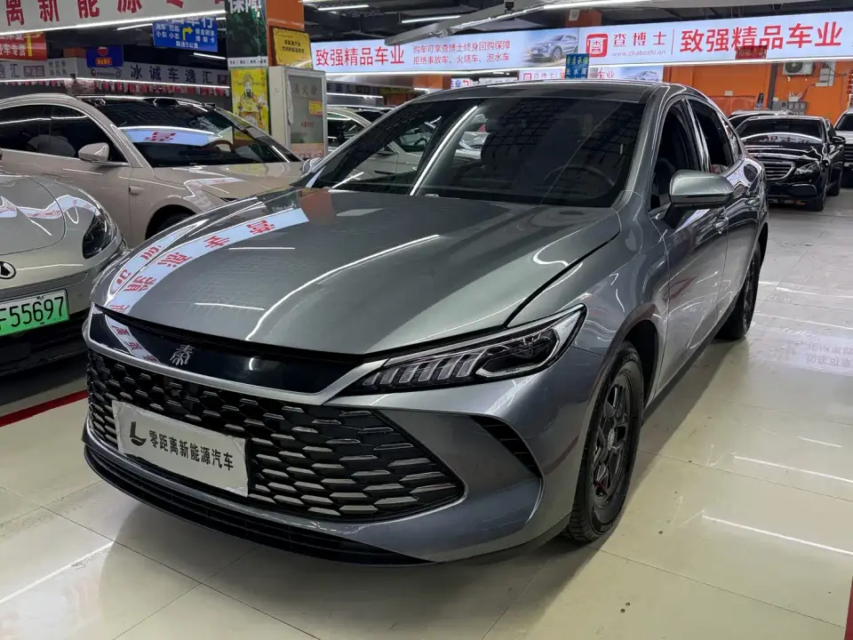BYD Qin PLUS DM-i Smart Drive 55KM Leader 2025