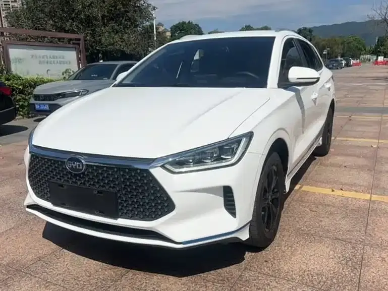 BYD e2 Upgraded Long Range Luxury 2020