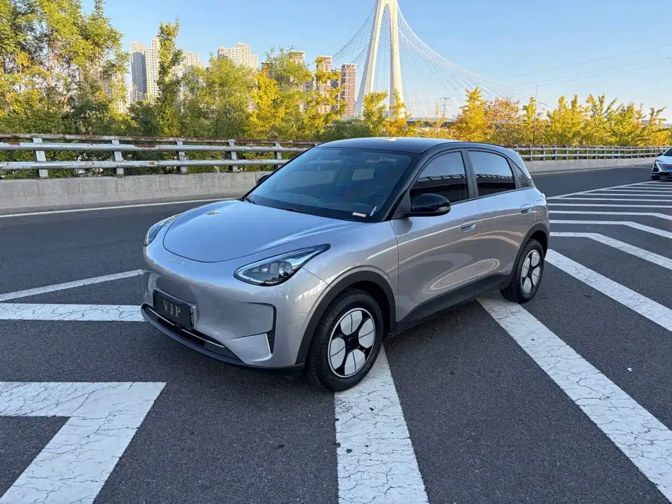 Geely Galaxy Starry Wish 310km Youth Edition 2025