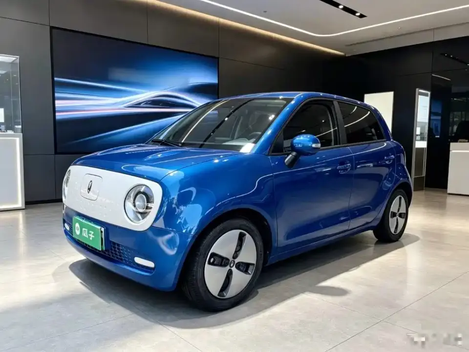 ORA Black Cat Facelift 301km Pet Edition LFP Version 2022