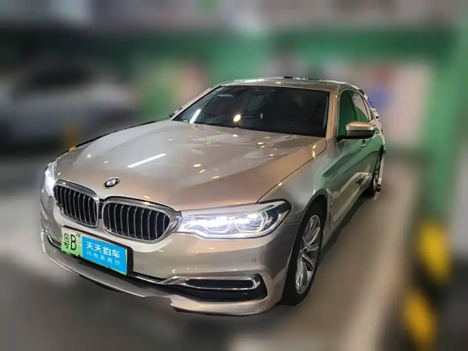BMW 5 Series New Energy Facelift 530Le Luxury Package 2019