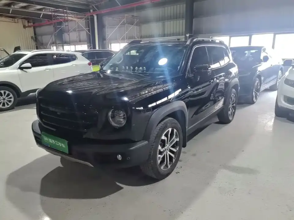 Haval Big Dog 1.5T DCT FWD Border Collie Edition 2022