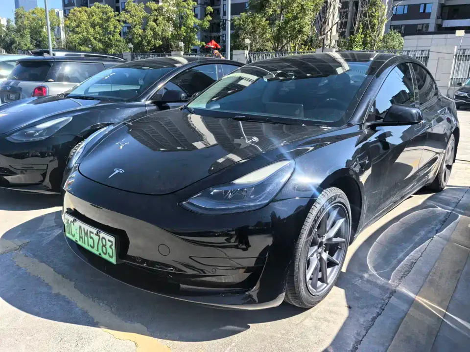 Tesla Model 3 Model Rear-Wheel Drive Version 2022