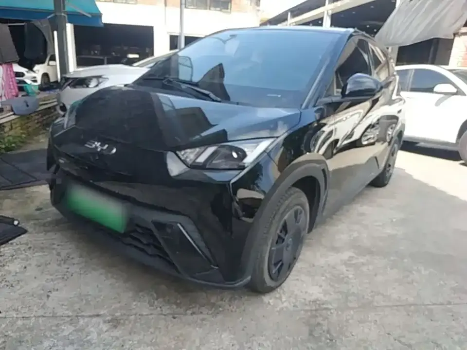 BYD Seagull 305km Vitality 2024