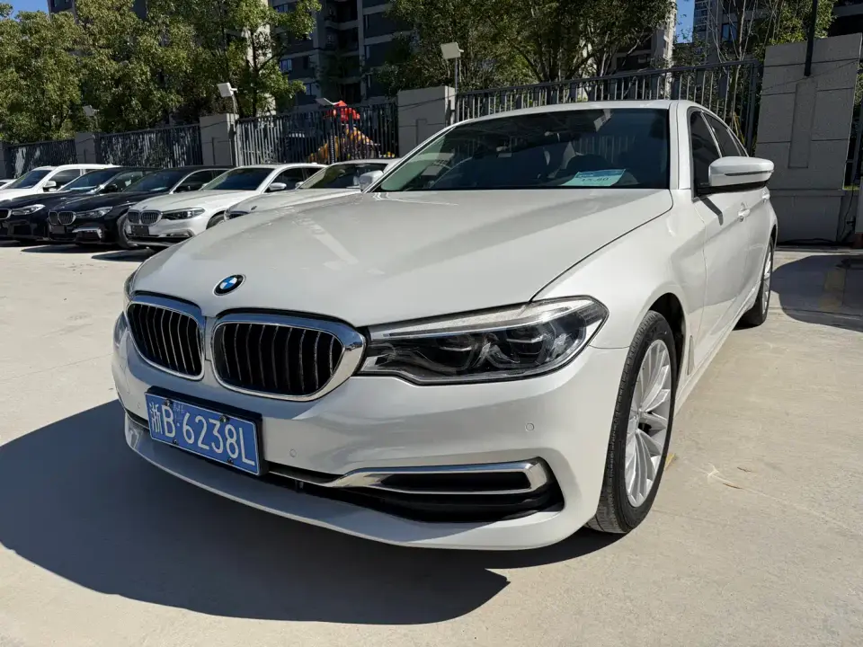 BMW 5 Series 530Li xDrive Luxury Package 2020