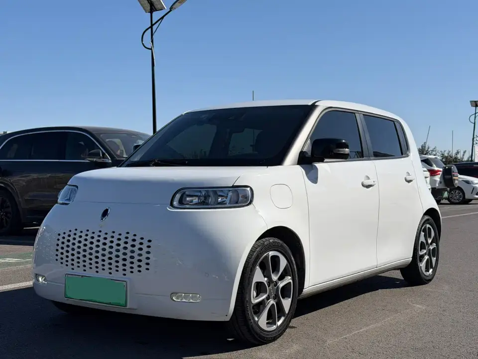 ORA White Cat 401km Flagship Model 2021