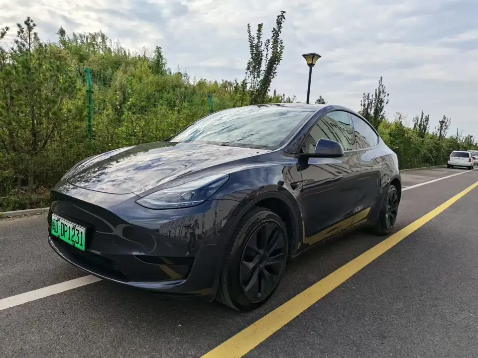 Tesla Model Y Rear-Wheel Drive Version 2024