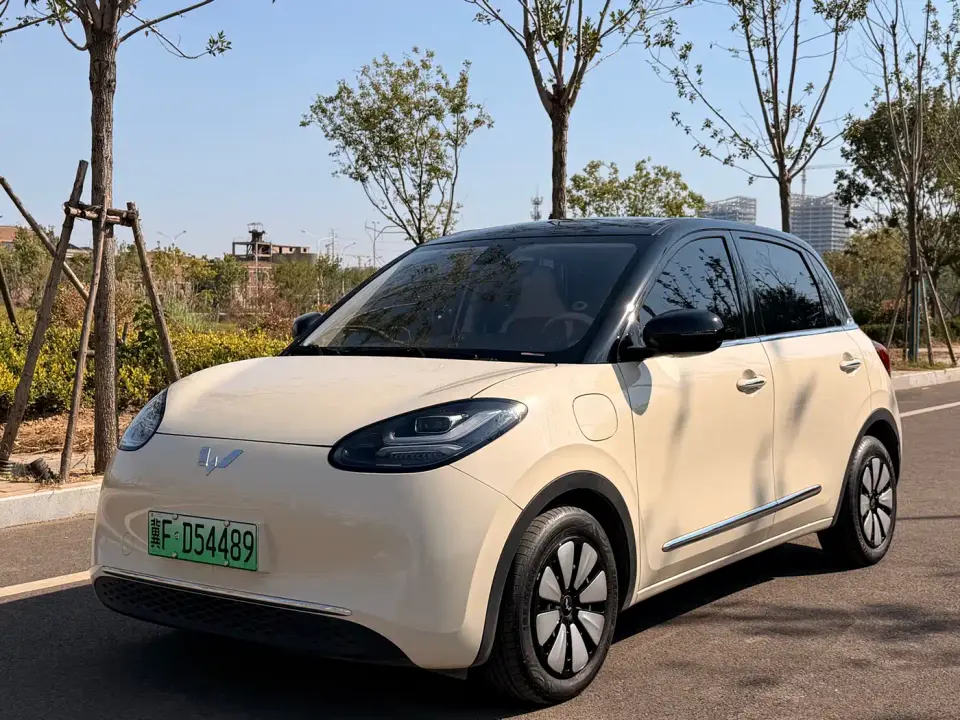 Wuling Motors Wuling Bingo Model 333km Joy Edition 2026