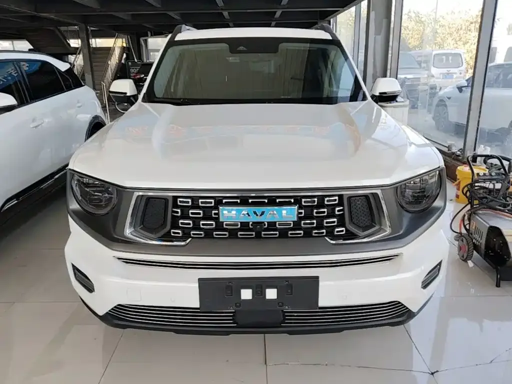 Haval Second-Generation Big Dog New Energy DHT-PHEV 105km Trendy Electric Edition Plus 2023 — фото 3