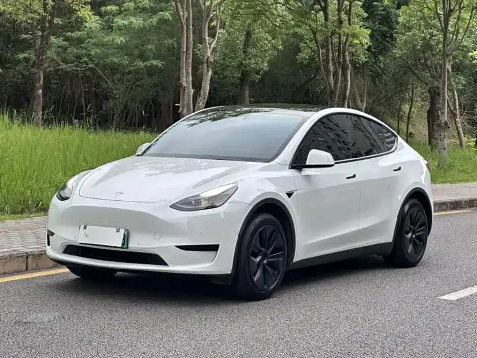 Tesla Model Y Rear-Wheel Drive Edition 2024