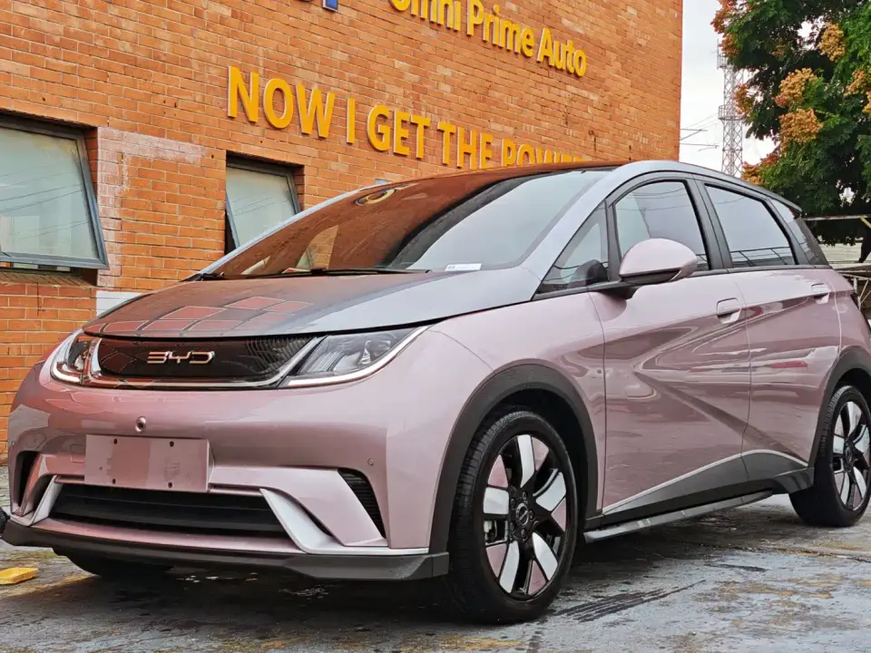 BYD Dolphin 401km Knight Edition 2024