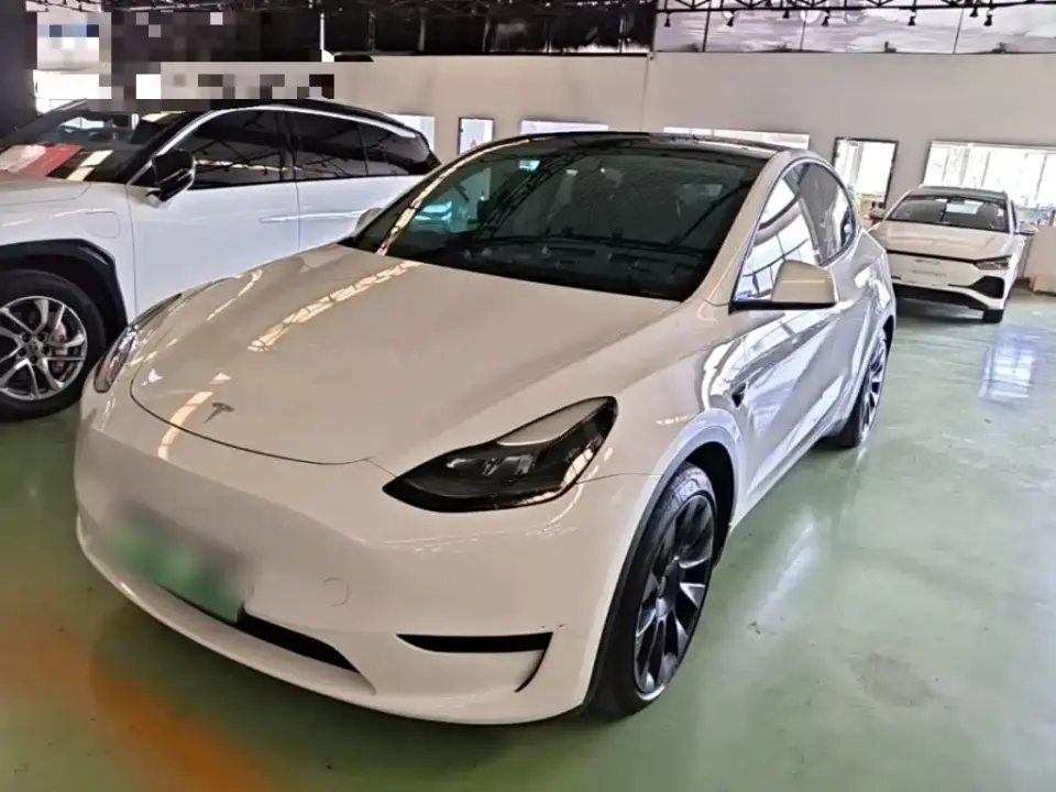 Tesla Model Y Rear-Wheel Drive Version 2022