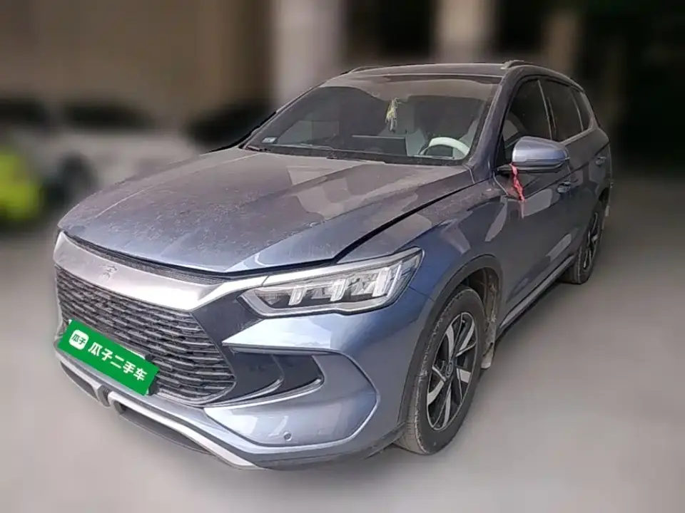 BYD Song Pro New Energy Glory Edition DM-i 71KM Pilot 2024