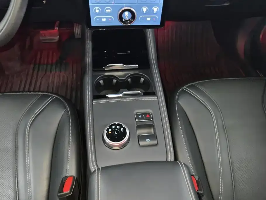 Ford Mustang Mach-E Boundless RWD Luxury (Long Range) 2022 — фото 16