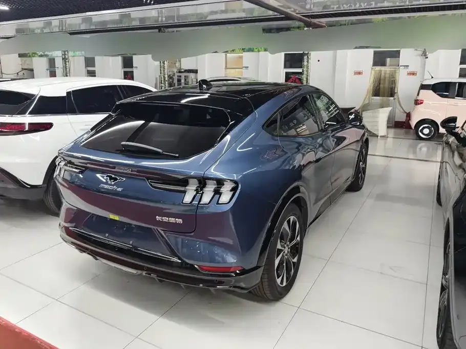 Ford Mustang Mach-E Boundless RWD Luxury (Long Range) 2022 — фото 3