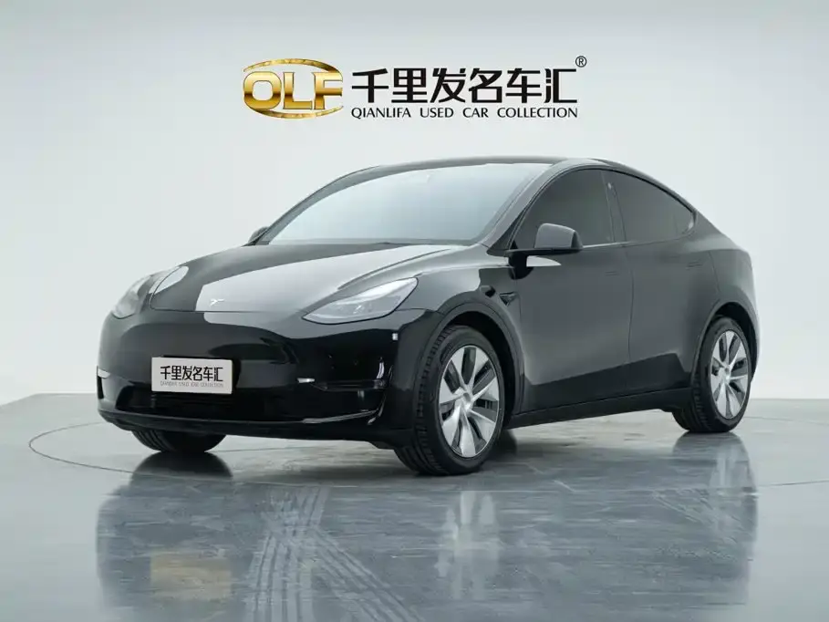 Tesla Model Y Model Long Range AWD 2021