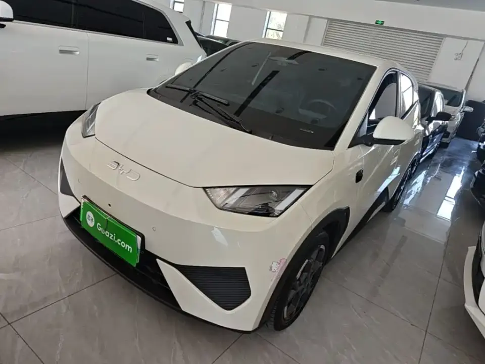 BYD Seagull Smart Drive Edition 305km Freedom Version 2025