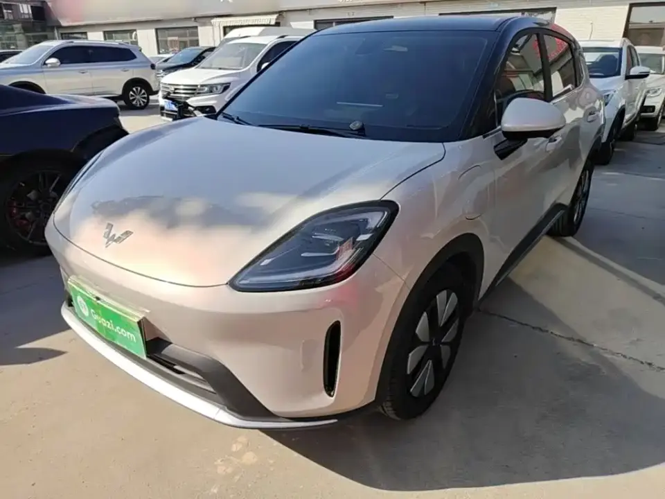 Wuling Motors Wuling Bingo S Model 325km Premium Edition 2025