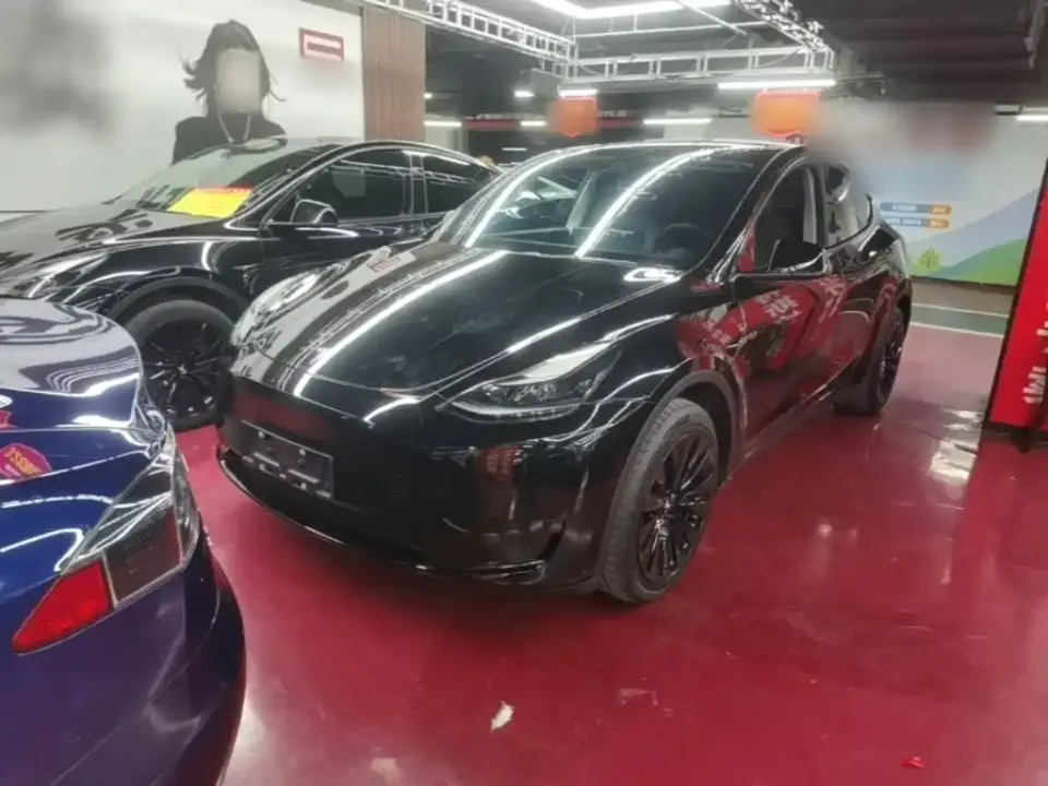 Tesla Model Y Rear-Wheel Drive Version 2022