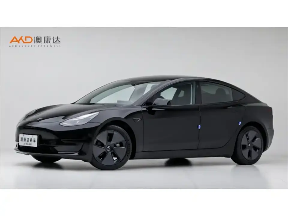 Tesla Model 3 Model Rear-Wheel Drive Version 2022