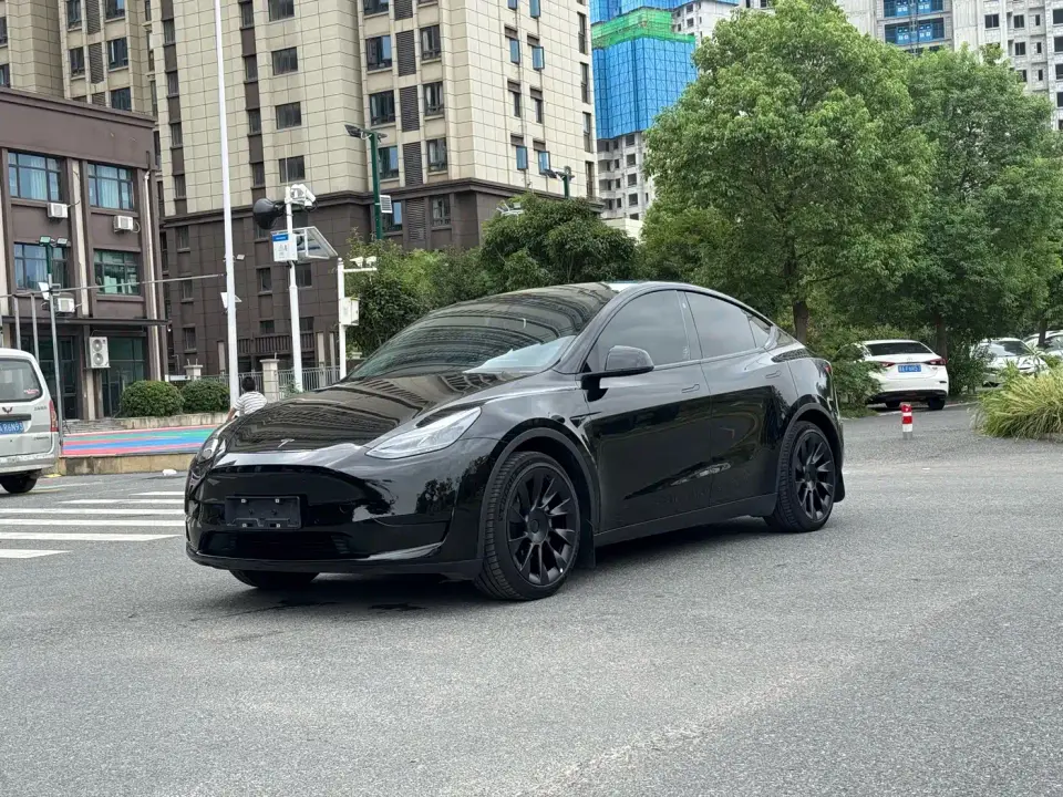 Tesla Model Y Rear-Wheel Drive Version 2022