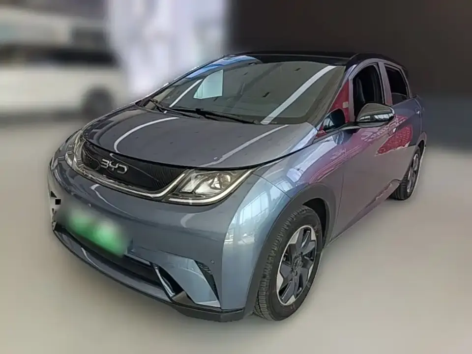 BYD Dolphin Glory Edition 420km Fashion Edition 2024
